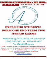 F1 ET2 ES HYB Q.pdf